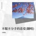词辰 - 不服 + 不分手的恋爱 (Live)