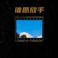 张尘宇 - 谁愿放手