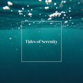 Relaxed Minds、Relaxing Piano Music Universe、Soft Music、Piano Soul - Piano in the Tropics