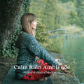 Méditation chakras、Balanced Mindful Meditations、Rainforest Meditations - Forest Rain Echos Binaural