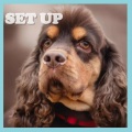 Mikedd、Klaxons、The Bravery - SET UP (feat. Klaxons & The Bravery)