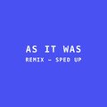 Rastapopo - As it was (Sped up - Remix)