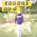 维斯李 - 暗里着谜