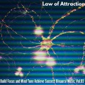 Jenifer John Meditation Collective - Contented Soul