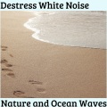 Pamela Grand Nature Collective - Ocean Bird Flies