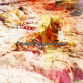 Relajación - Outstanding Sleep