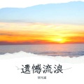 胡光渝 - 遗憾流浪