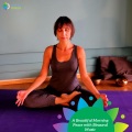 Melvin Meditation Archive - The Holiday Delight