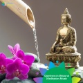 Melvin Meditation Archive - A No Dream Island
