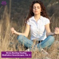 Sam Nelson - Lovely Spiritual Essence