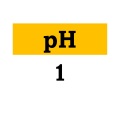 pH music label - What I Really Want To Say