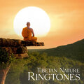 Chakra Frequencies - Meditation of 7 Elements