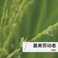罗嘉明 - 种子