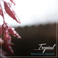 Sounds of Nature White Noise Relaxation Meditation - Rain for Concentration
