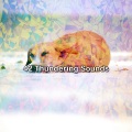 Nature Sounds Nature Music - Lay Down