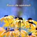 Bruit De La Mer、Vagues De L'ocean、Vagues Dans La Mer - Ecouter L'océan