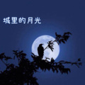 零星Ya - 城里的月光
