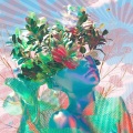 Besomage、Yusomage、Halüna - Flowers