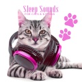 Pet Care Club、Deep Sleep Group - Natural Hypnosis