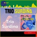 Trio Surdina - Verlaine