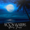 Mindfulness Meditation Music Spa Maestro - Chinese Wind Flutes & Lake Waves