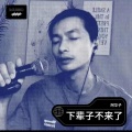 阿华子 - 下辈子不来了