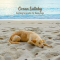 Dog Anxiety Music、Relaxmydog - Surfside Siesta