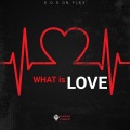dxsiir3、Meech La'flare、Norman Perry、the girl next door、Lex Aura、451、Eloy、NauXore、V21、Calboy - What is Love (feat. Meech La'flare Norman Perry The Girl Next Door Lex Aura RIZ 451 Eloy NauXore V21 Calboy & Valee)