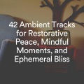 Relaxation Music、Ambient Sample Library、Inspiring Tranquil Sounds - Calm Wake Up Music