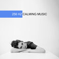 Hz Sleep Project - Perfect Sleep