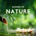 מוזיקת טבע - Yoga Meditation and Relaxation