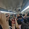 明戈 - 有人共鸣
