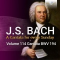 Netherlands Bach Collegium、Pieter Jan Leusink、ruth holton - V. Aria. Hilf, Gott, dass es uns gelingt