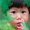 儿童助眠音乐、儿童古典乐、儿童瑜伽 - 咩咩小黑羊