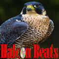 ChillHop Beats、Halcon Beats、Lofi Chill - Halcon Beats