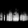 Sound Remedy - Slither