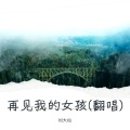 大呲花 - 再见我的女孩