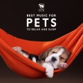 Pet Care Club - String Melody In The Air