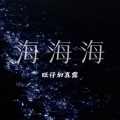 旺仔加真露 - 海海海 (御姐版)