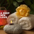Balanced Life - Season of Stress Relief