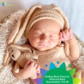 Jack Tindall - Restore the Calmness