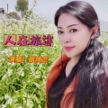 张凤兰 - 人在旅途