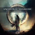 Shamanic Drumming World - Can You Feel the Love