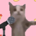 有理w - 夹成happy猫唱哈基米