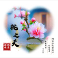 娜家姑娘 - 桃花诺