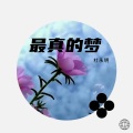 杜永明 - 最真的梦