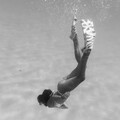 Elysees - As it Was