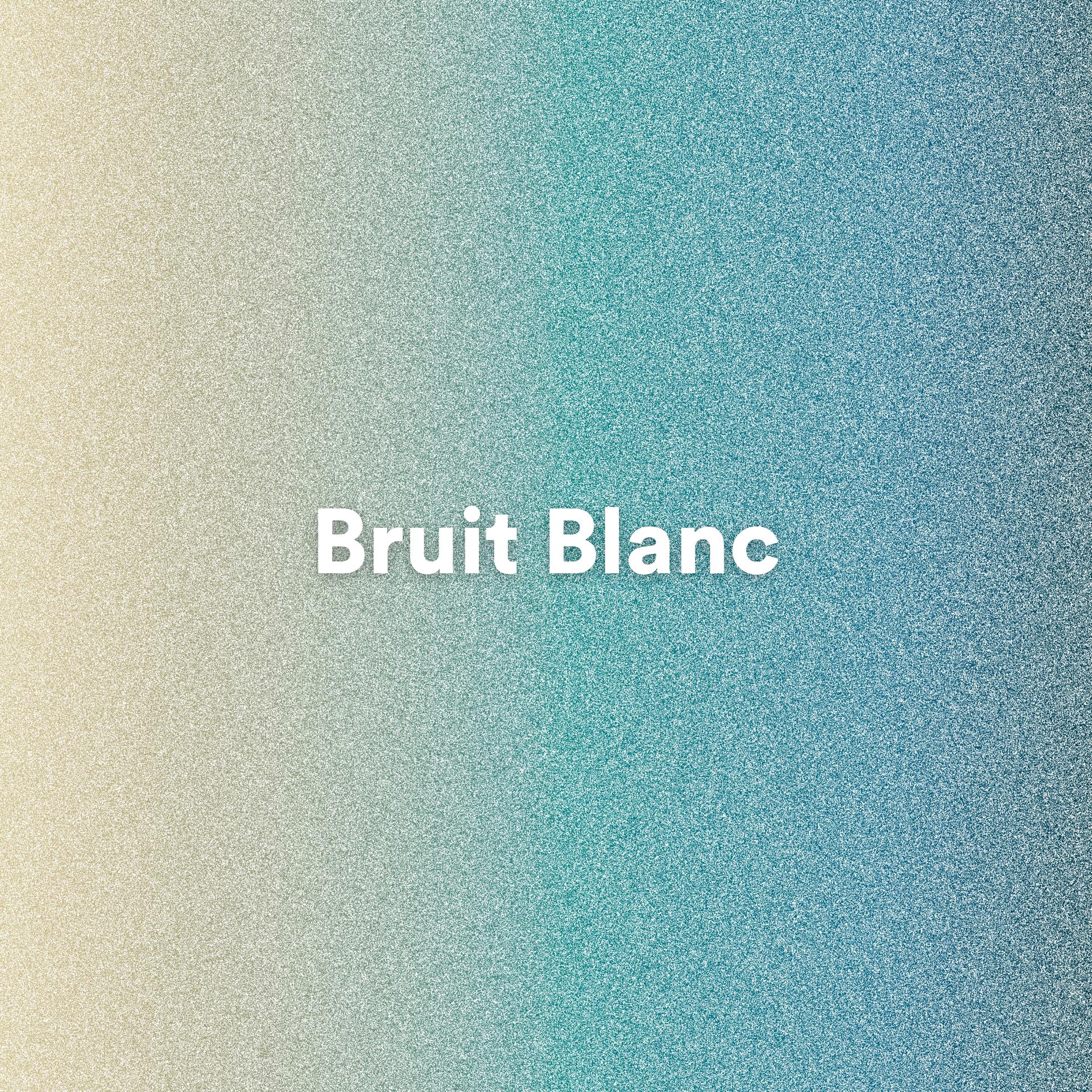 White Noise - White Noise, Pt. 13
