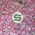 Braxe + Falcon、Max In The World、Alan Braxe、DJ Falcon - Love Me