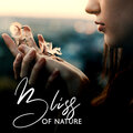 Mindfulness Meditation Music Spa Maestro - In The Orchard